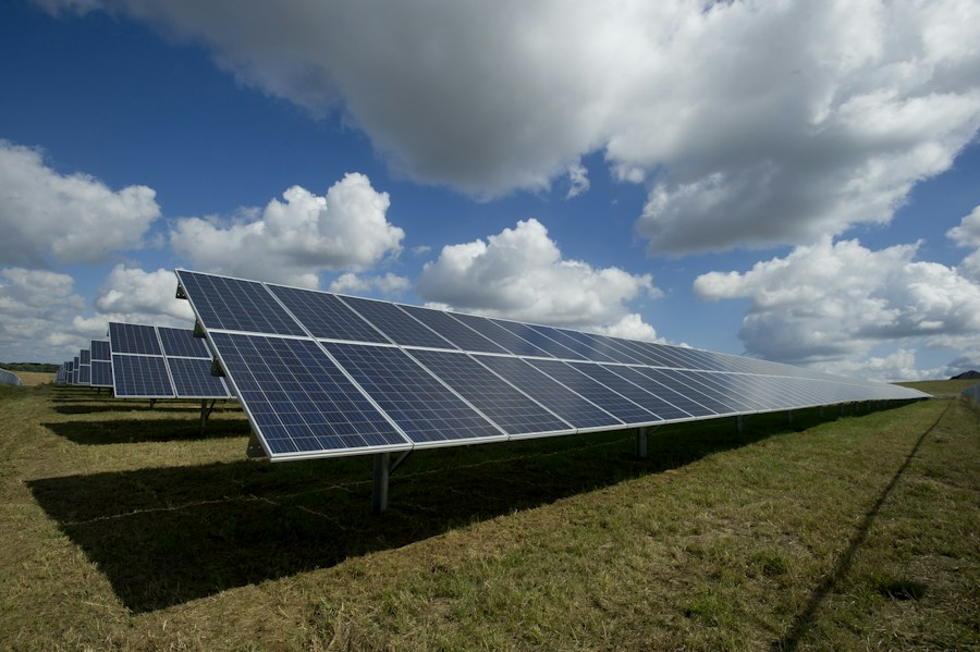 Solar panel array in daylight